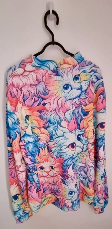 Vinted Fiery Cat Dragons Sweatshirt.jpg