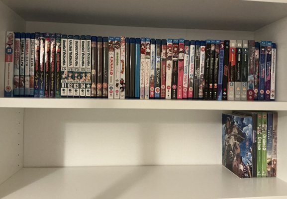 IMG_3547 - Copy.jpeg