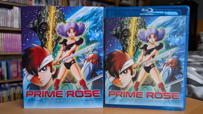 Prime Rose - 1.jpg