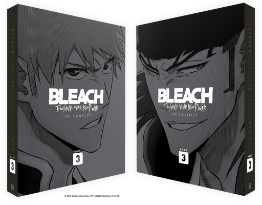 BleachTYBWSlipcase.png