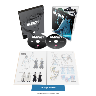 Bleach-TYBW-Part-3-3d_amaray-Collectors-Edition.png
