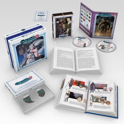 Is-It-Wrong-to-Try-to-Pick-Up-Girls-in-a-Dungeon-V-Premium-Box-Set_816726026572_01_00_1012x108...jpg