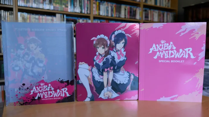Akiba Maid War 1.webp