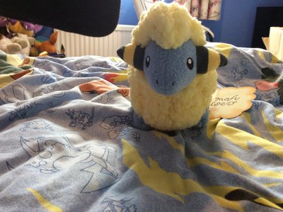 IMG_0871.JPG IMG_0871.JPG