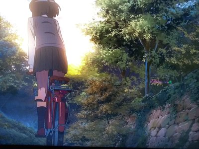 IMG_20181107_180417589-01.jpeg IMG_20181107_180417589-01.jpeg