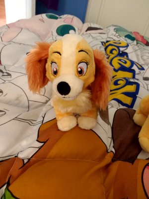 IMG_20190419_151202145_HDR.jpg IMG_20190419_151202145_HDR.jpg