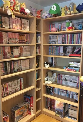 Bookcase June 2018.jpeg