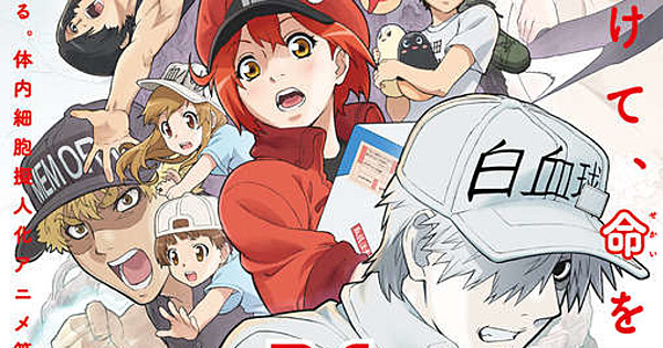 www.animenewsnetwork.com