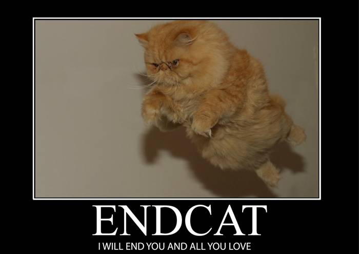 ENDCAT_by_The_Evil_Kitten.jpg