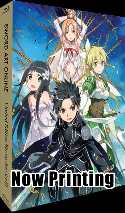 SAO-Box-ray-Set-III.jpg