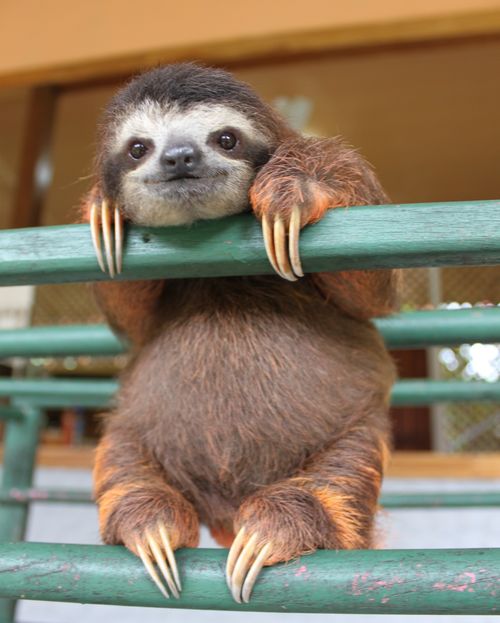 6a010535647bf3970b0192aa1c86c1970d-500wi