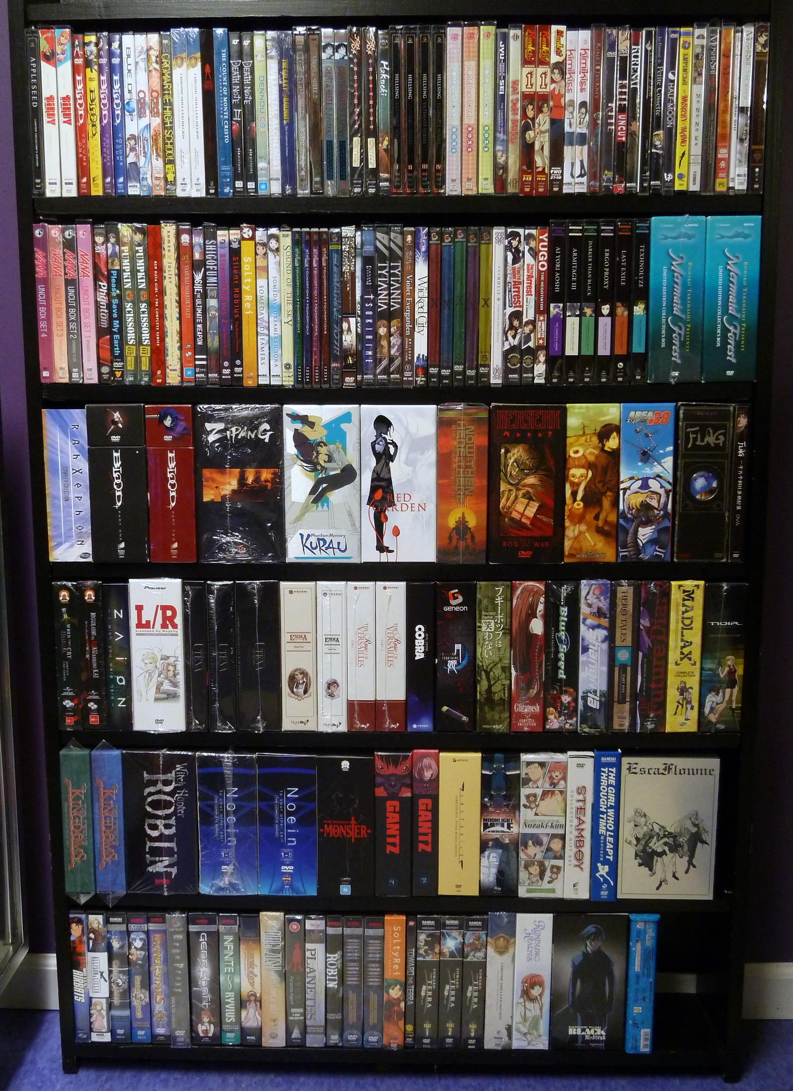 6dvdshelves.jpg