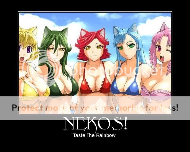 Nekos1.jpg