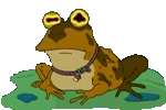 Hypnotoad_animated.gif