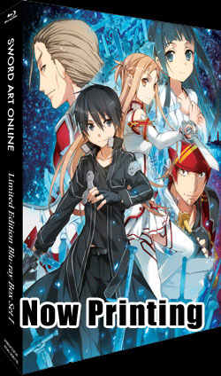 SAO-Box-ray-Set-I.jpg