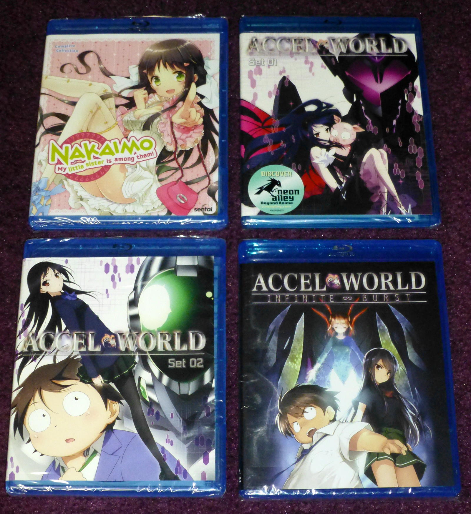 nakaimoaccelworld.jpg