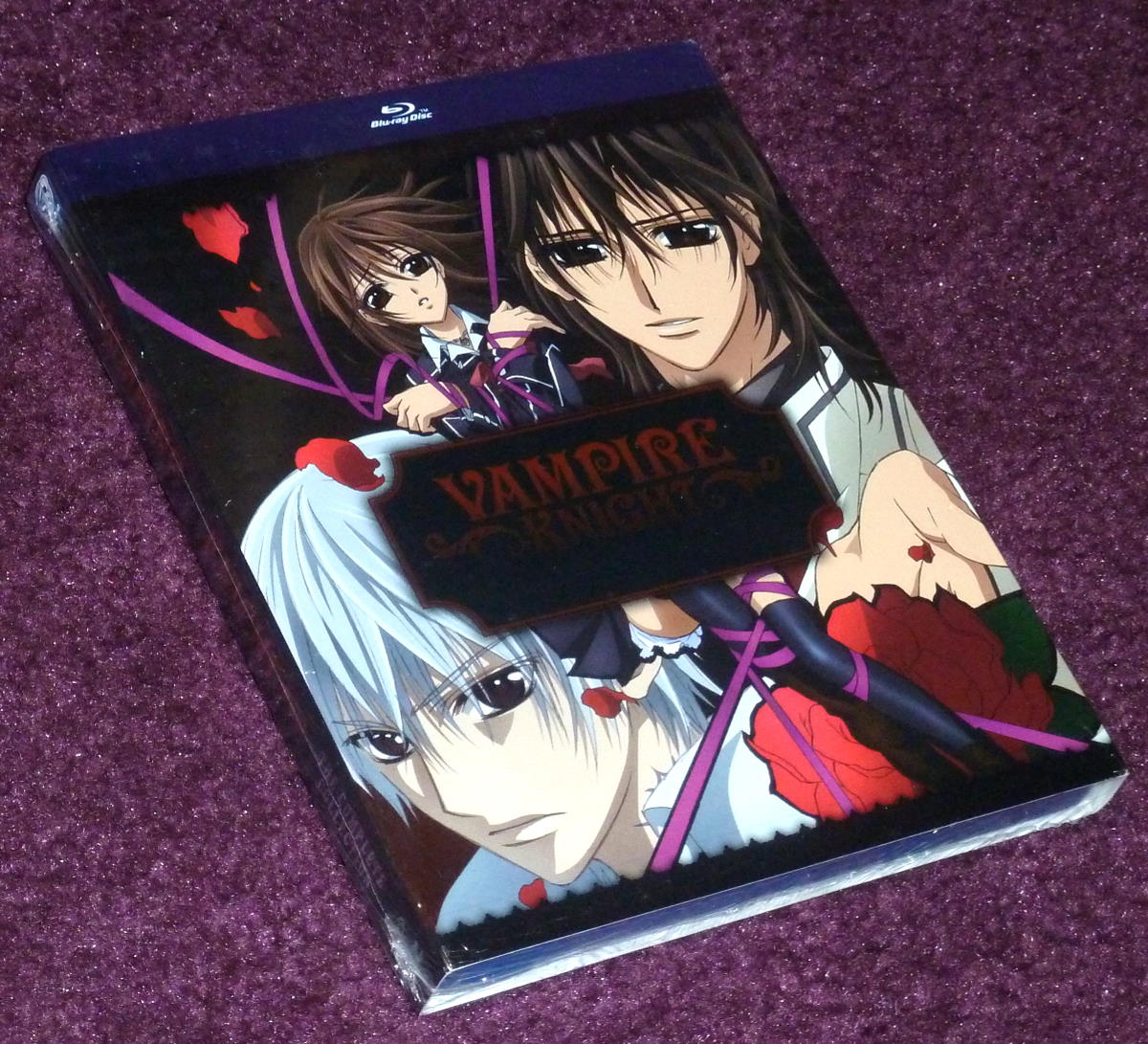 vampireknight.jpg