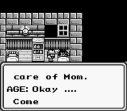 Final_Fantasy_Legend_2_GBC_ScreenShot2.gif