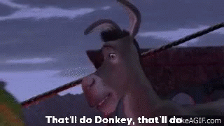 thatll-donkey.gif