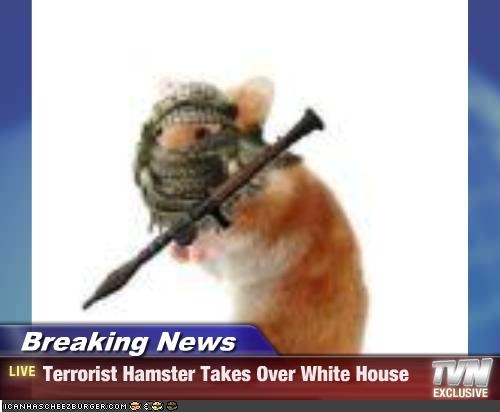 terrorist-hamster.jpg